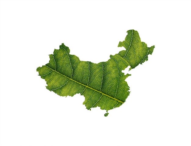 China map made of green leaves on soil background ecology concept