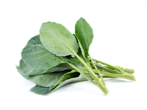 Chinese broccoli on white background