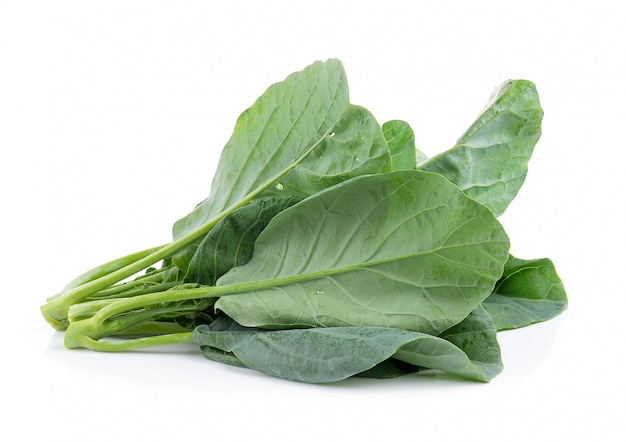 Chinese broccoli on white space