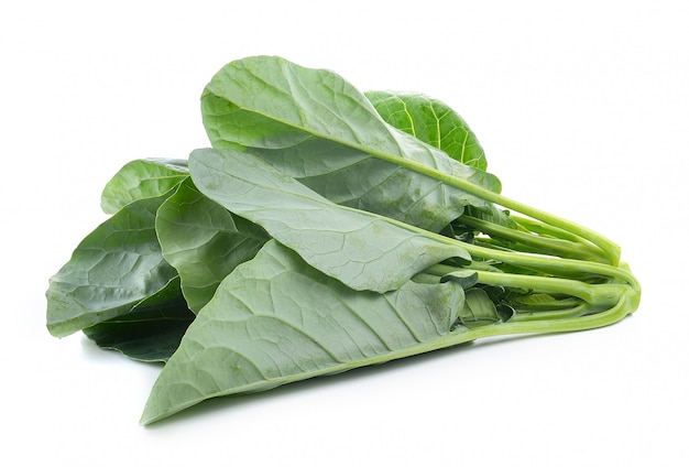 Chinese broccoli on white space