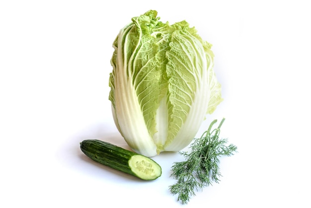 Chinese cabbage feather of onion and cucumber isolated on the white background