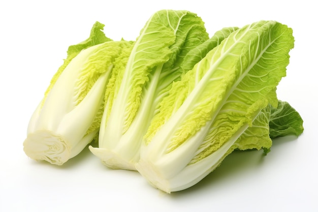 Chinese cabbage isolated on white background Ingredients vegetables for cooking