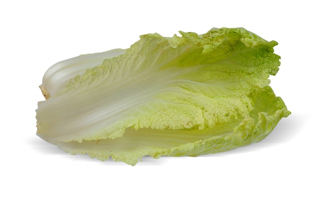 Chinese cabbage isolated on a white background