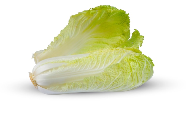 Chinese cabbage isolated on a white background