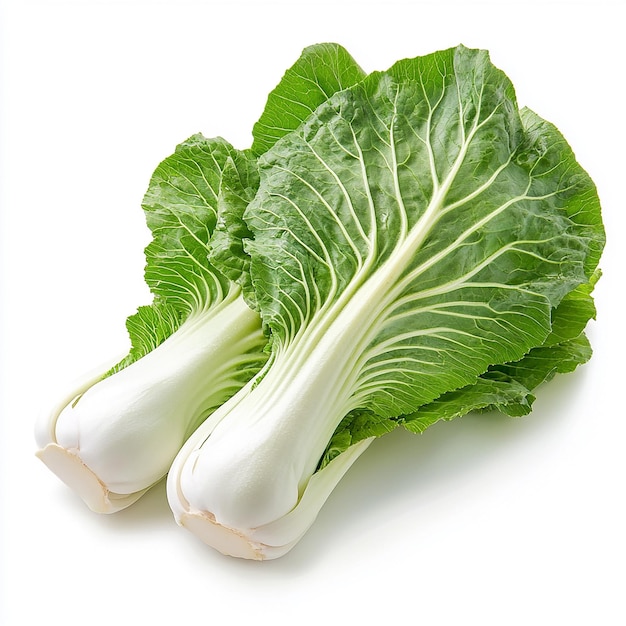 Chinese Cabbage on White Background