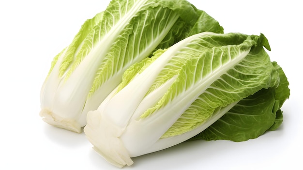 Chinese cabbage on white background