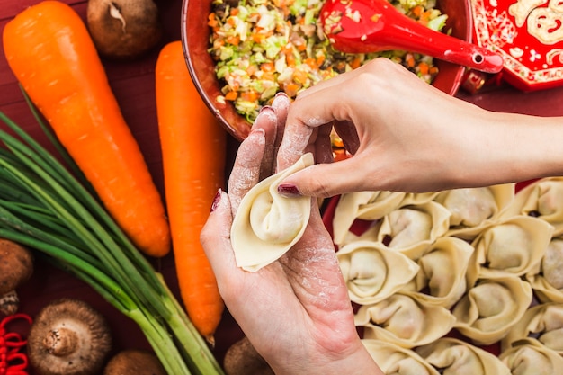 Chinese Food: Dumplings for Traditional Chinese Holidays