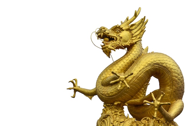 Chinese golden dragon statue on white background