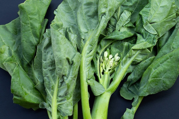 Chinese kale or Kailaan or Hong Kong kale on dark background.