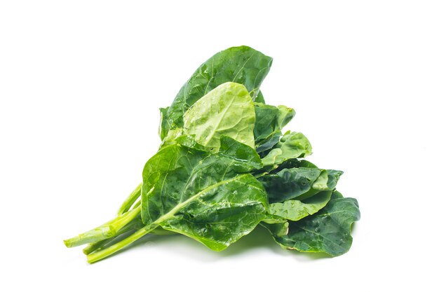 Chinese kale vegetable isolated on white background.