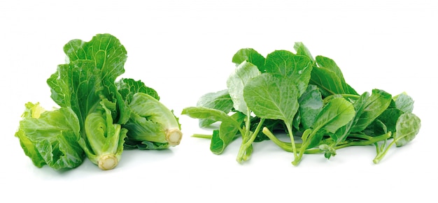 Chinese kale vegetable on white space