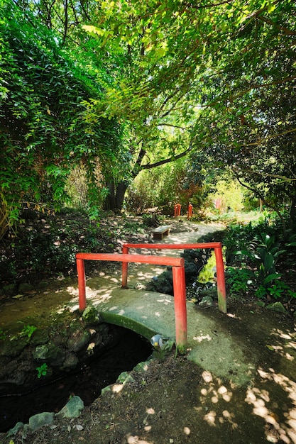 Chinese style bridge in asian part of tropical botanical garden in lisbon portugal