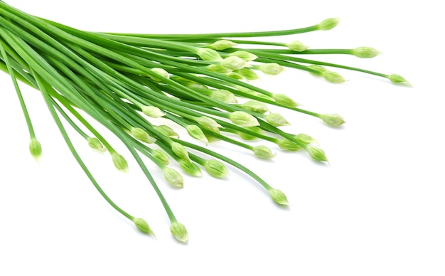 Chives flower or Chinese Chive isolated on white background