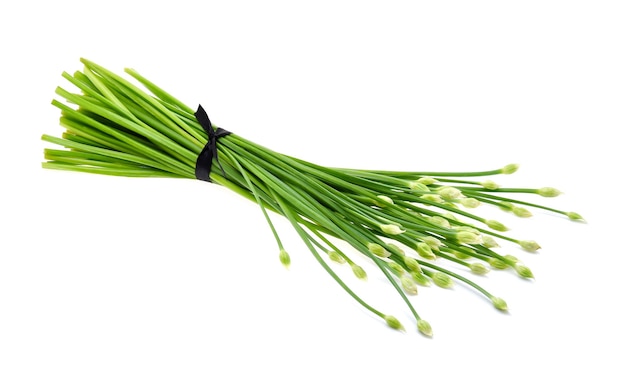 Chives flower or Chinese Chive isolated on white background