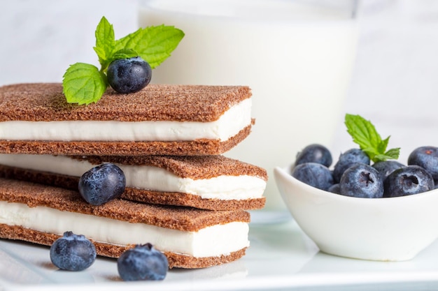 Chocolate biscuit with milk filling and berries on a plate. Chocolate-milk kids dessert. (Turkish dessert; sut dilimi)