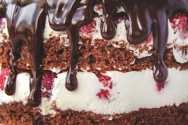 Chocolate cake with strawberries close up