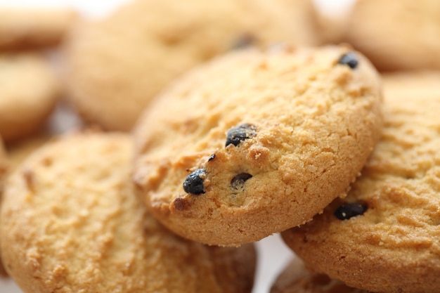 Chocolate chip cookie isolated in white surface