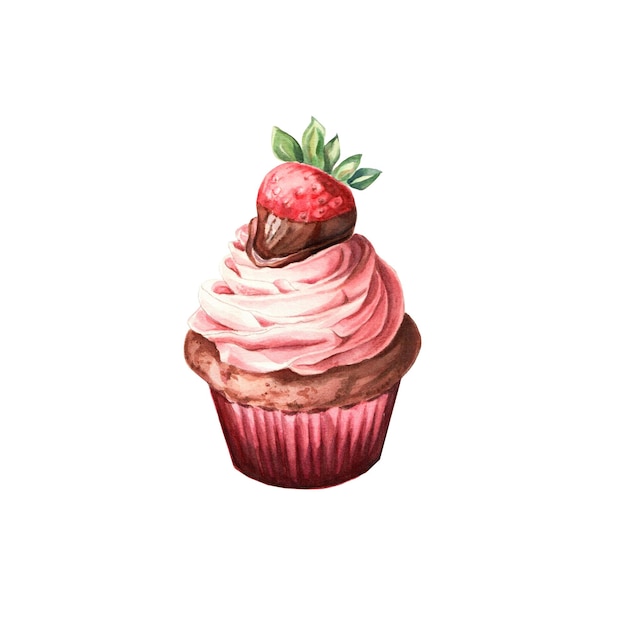 Chocolate covered strawberry cupcake isolated on white Hand painted watercolor