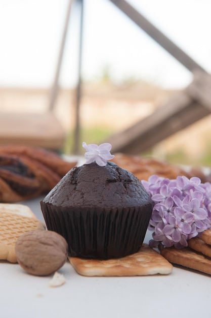 Chocolate cupcake and lilac outdoor