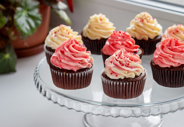 Chocolate muffins with a hat of pink and white cream