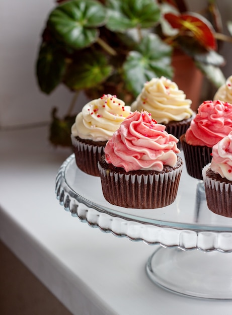 Chocolate muffins with a hat of pink and white cream