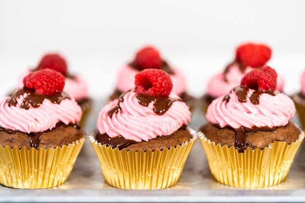 Chocolate raspberry cupcakes