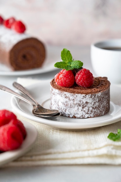 Chocolate roll cake or swiss dessert cake with fresh raspberrie fruits