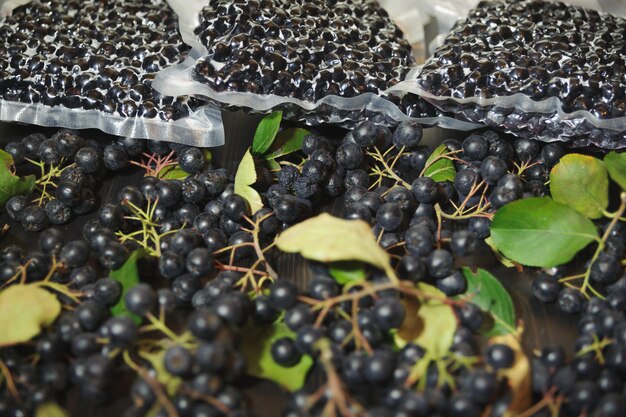 Chokeberry berries ( Aronia melanocarpa ) are packed in vacuum bags and black berries on dark table.