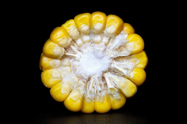 Chopped corn in profile on a black background.