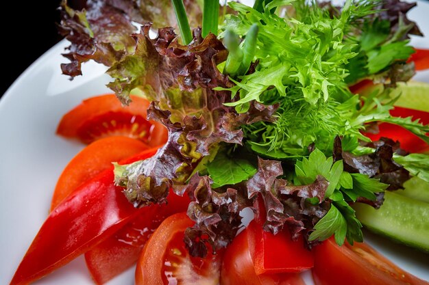 Chopped fresh vegetables with herbs on a plate