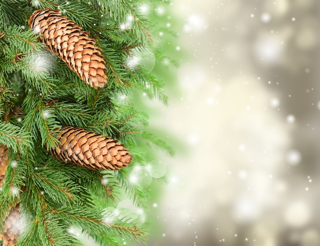 Chrismas tree and pine cones on gray festive background with sparkles