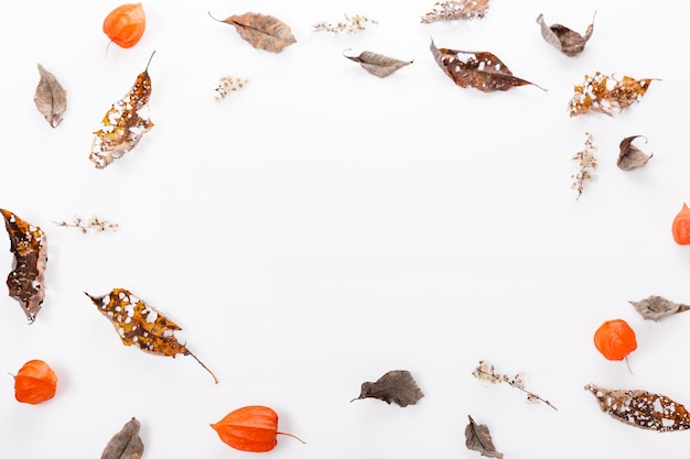 Christmas or autumn composition Dry autumn leaves and physalis Top view flat lay copy space