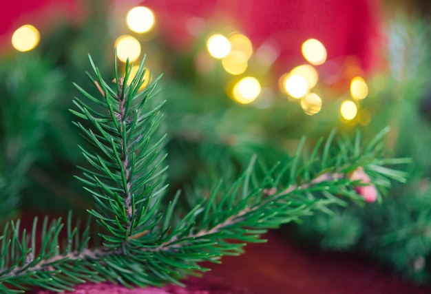 Christmas background, green pine branches with cones and Christmas balls