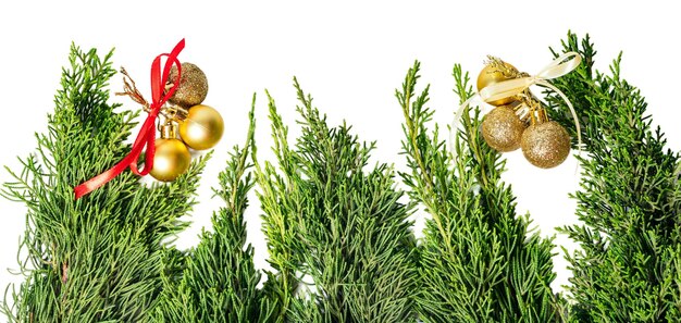 Christmas background isolated on white or transparent background cutout