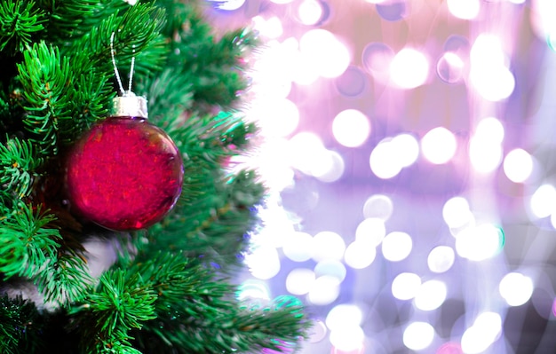 Christmas background red Christmas ball and fir branch on the background of a garland Defocus