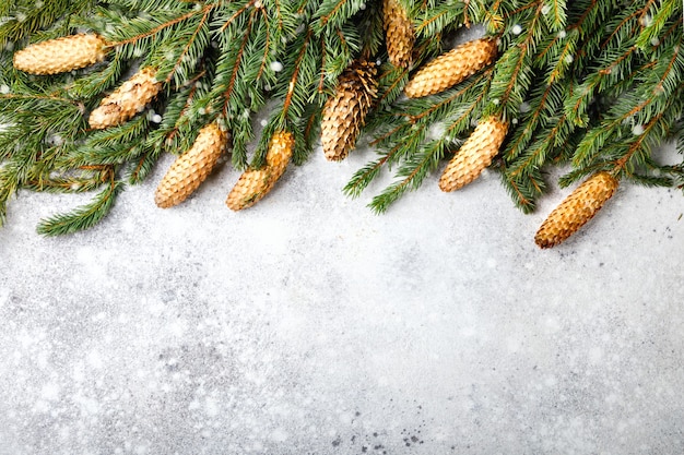 Christmas background Snow Fir tree branch