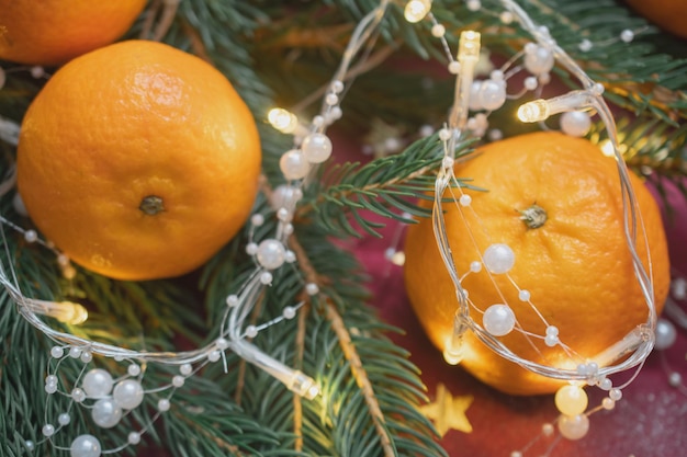 Christmas background with Christmas tree branches and tangerines