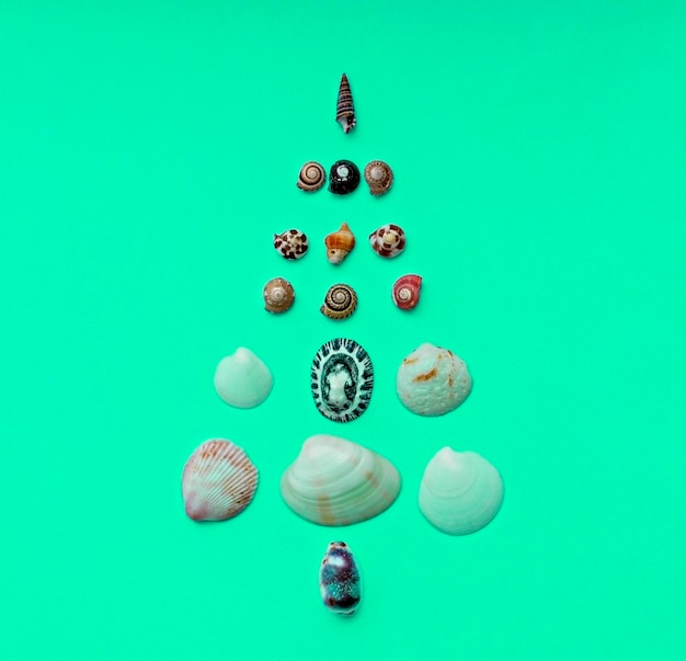 Christmas background with Christmas tree made of seashells on mint background copy space Tropical