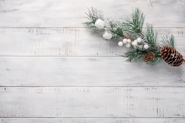 Christmas background with fir branches