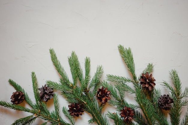 Christmas background with fir tree branch and cones.