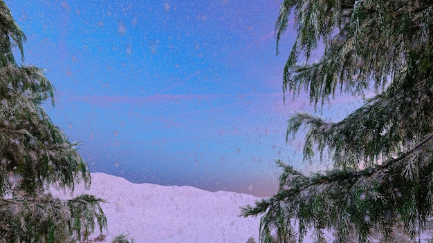 Christmas background with pine tree and snow. Illustration 3D rendering