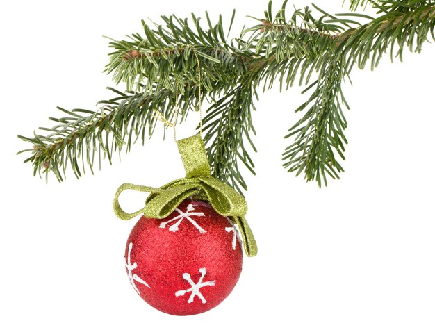 Christmas ball on fir tree