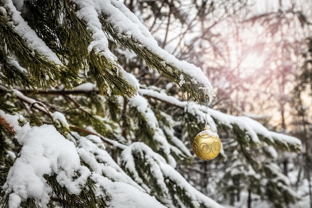 Christmas ball is hanging on a winter tree covered with snow in the forest