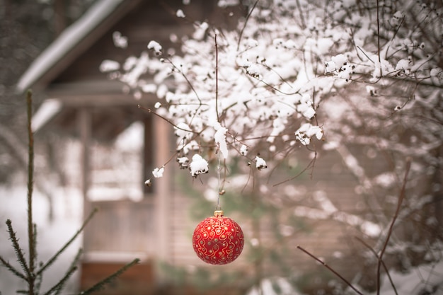 Photo christmas ball on a tree branch