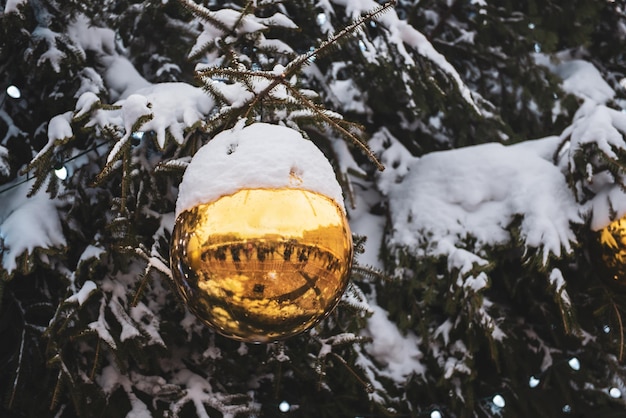 Christmas ball on a tree