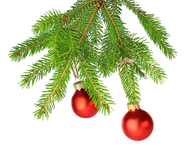 Christmas balls hanging on fir tree branch, isolated on white