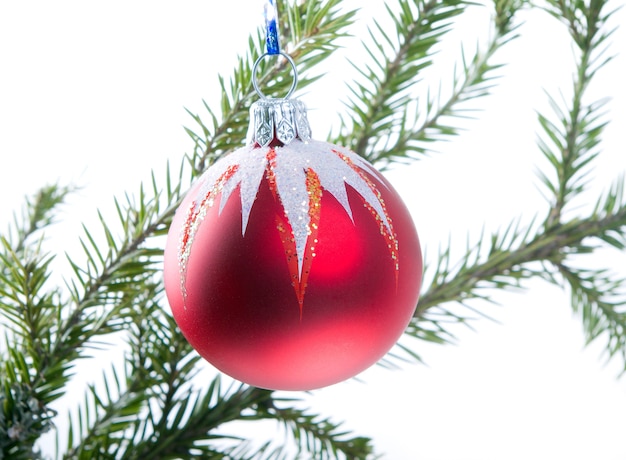 Christmas bauble  on background of the fur branches,red ball