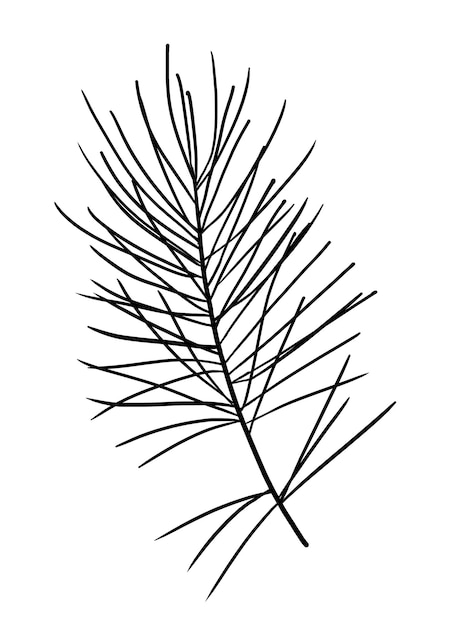 Christmas black outline fir tree branch Winter holiday party design element