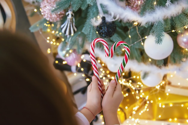 Christmas candy canes in the hands of a child. Selective focus. Holiday.