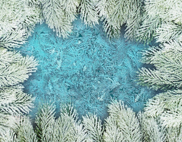 Christmas composition background Winter window with green fir branch and white frost on blue frozen glass